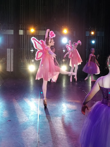 Dance School «Philadelphia Dance Theatre», reviews and photos, 7500 Germantown Ave, Philadelphia, PA 19119, USA