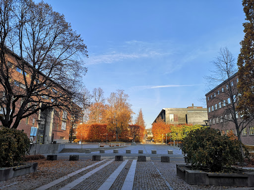 Medisinske universiteter Oslo