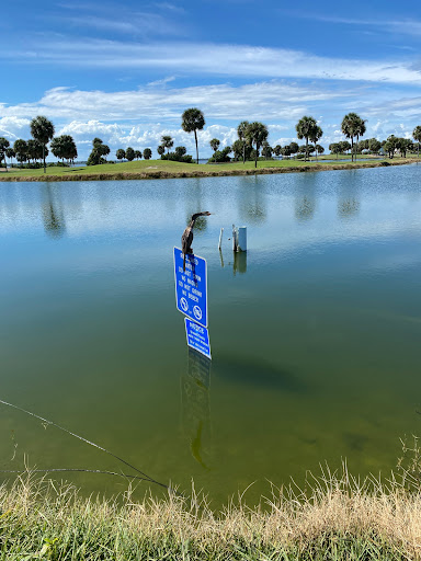 Golf Course «Spessard Holland Golf Course», reviews and photos, 2374 Oak St, Melbourne Beach, FL 32951, USA
