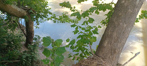 Nature Preserve «Spring Creek Greenway Nature Center», reviews and photos, 1300 Riley Fuzzel Rd, Spring, TX 77386, USA