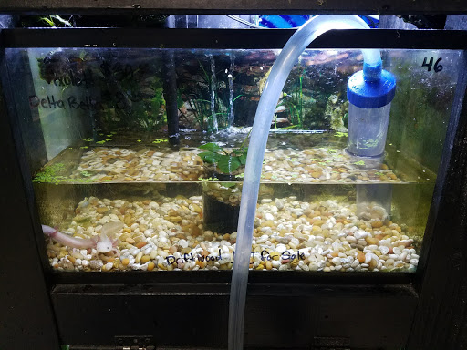 Pet Store «Pet Land», reviews and photos, 1450 Fort Campbell Blvd, Clarksville, TN 37042, USA