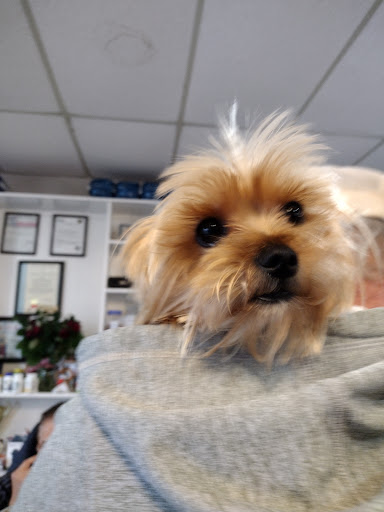 Pet Supply Store «The Dog House», reviews and photos, 4237 S Alameda St, Corpus Christi, TX 78412, USA