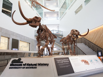 University of Michigan Museum of Natural History