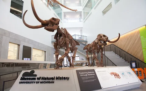 University of Michigan Museum of Natural History image