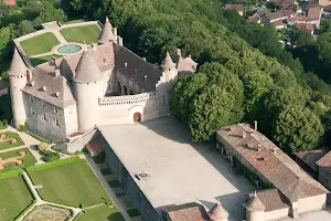 Castle Virieu image
