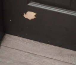 Motel Benidorm photo