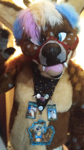 Shopping Mall «Town Line Plaza», reviews and photos, 80 Town Line Rd, Rocky Hill, CT 06067, USA