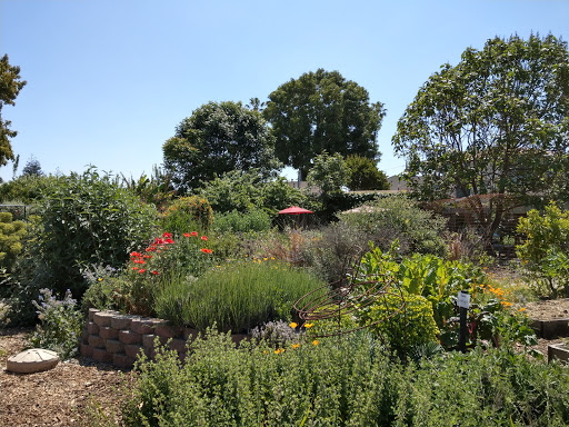 The Forge Garden