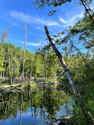 Nature Preserve «Eliason Nature Reserve», reviews and photos, 9501 Shaver Rd, Portage, MI 49024, USA