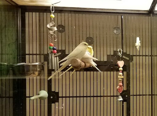 Pet Supply Store «PetSmart», reviews and photos, 220 Commerce Blvd, Fairless Hills, PA 19030, USA