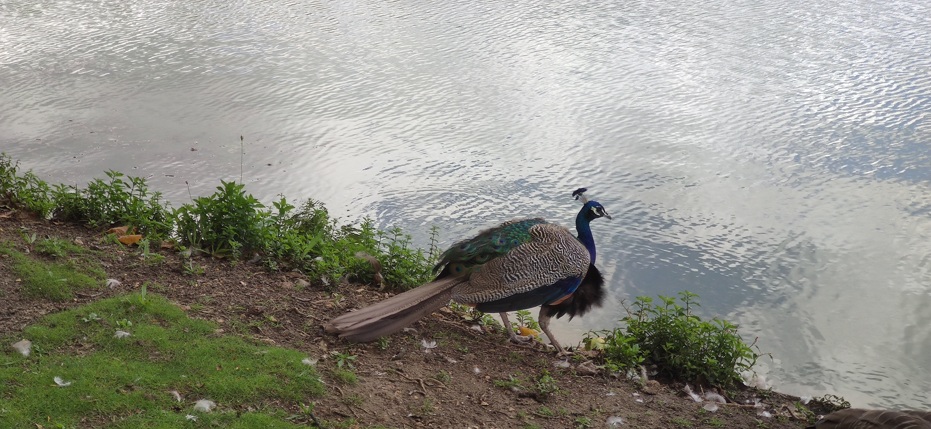 Photo n° 28 de l'avis de Claude.Q fait le 15/08/2023 à 14:52
