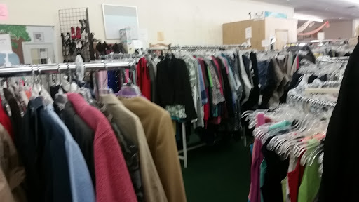 Thrift Store «Safe Haven Animal Sanctuary Thrift Shop», reviews and photos, 840 El Paseo Rd, Las Cruces, NM 88001, USA