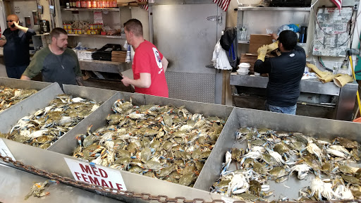 Monument «Thomas Jefferson Memorial», reviews and photos, 701 E Basin Dr SW, Washington, DC 20242, USA