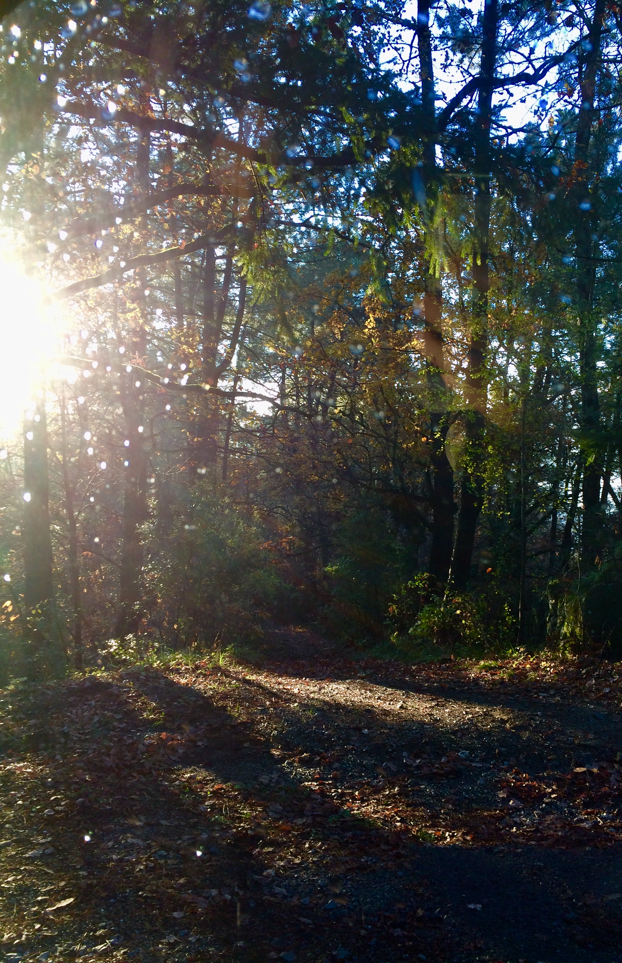 Photo n° 2 de l'avis de HELENE.N fait le 05/01/2019 à 11:51