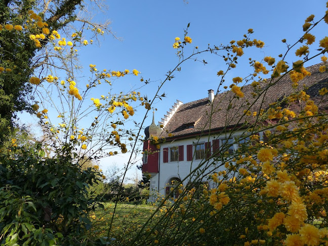 Rezensionen über Eisenbibliothek, Stiftung der Georg Fischer AG in Neuhausen am Rheinfall - Buchhandlung