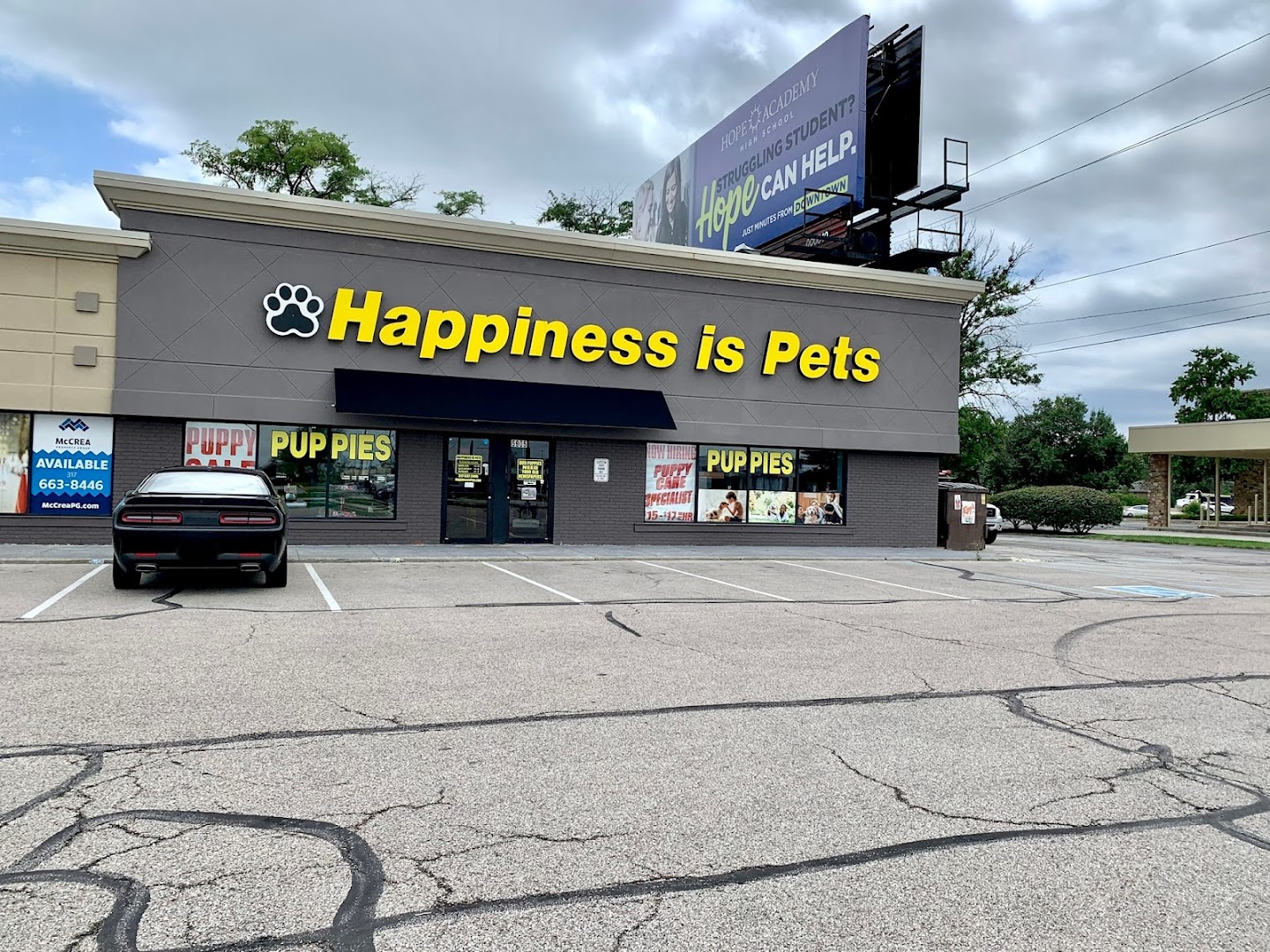 Happiness is Pets