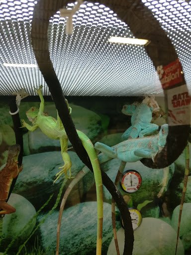 Pet Supply Store «Petco Animal Supplies», reviews and photos, 3264 Buford Dr NE #110, Buford, GA 30519, USA