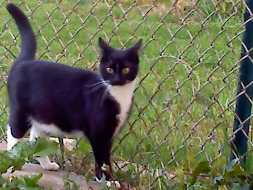 Park «Greenbank Park», reviews and photos, 250 Greenbank Rd, Wilmington, DE 19808, USA