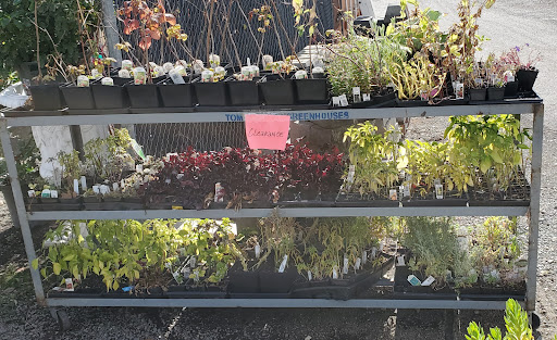 Hardware Store «Lakewood Hardware & Paint, Inc», reviews and photos, 9020 Lakewood Dr SW, Lakewood, WA 98499, USA