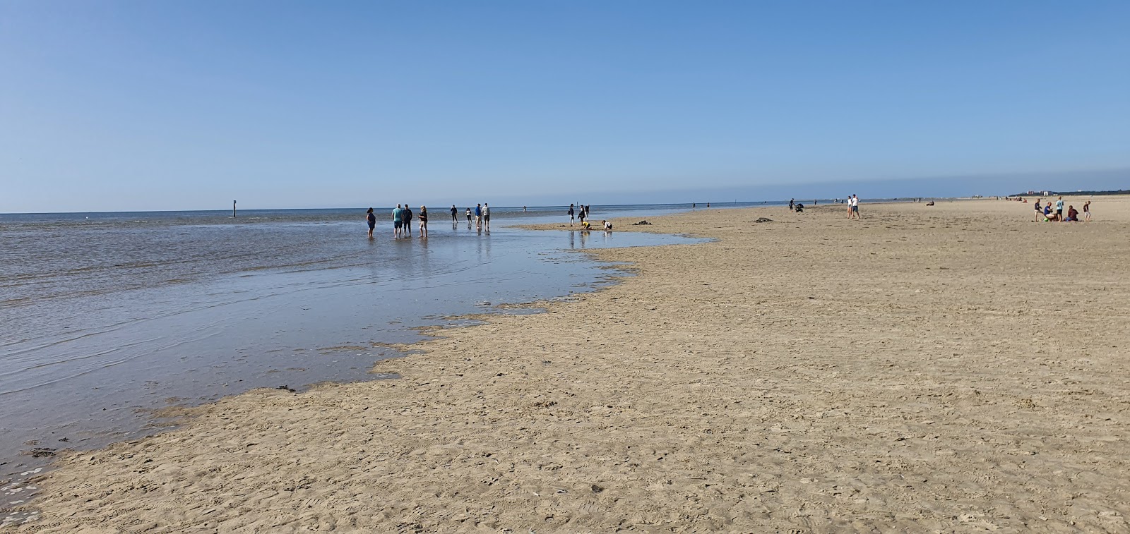 Zdjęcie Böhler Strand z poziomem czystości wysoki