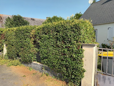 Helfrick J. Elagage et Espaces Verts à Saumur