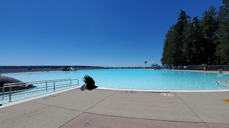 Chimney Repair Vancouver