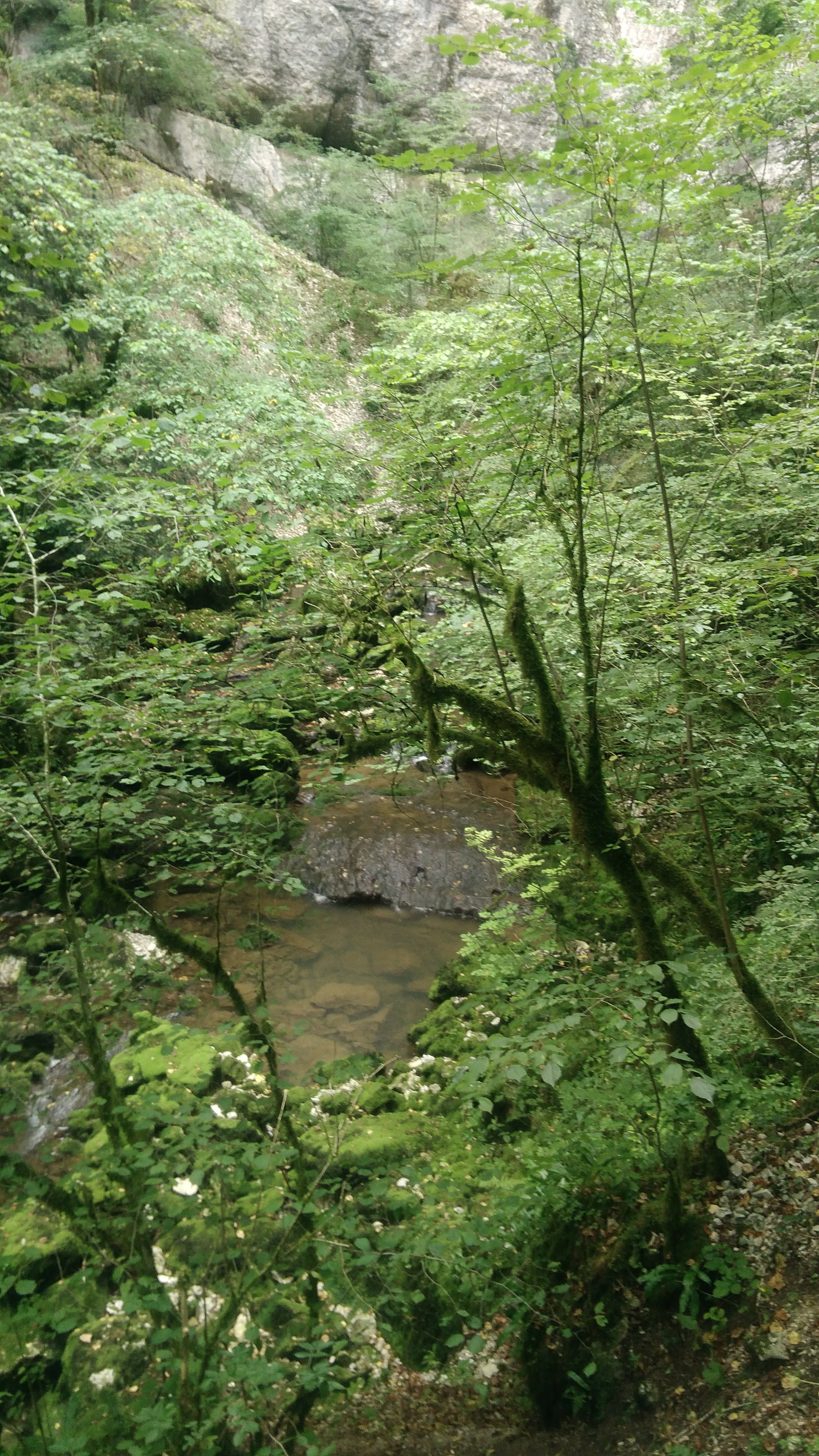 Photo n° 13 de l'avis de Stephanie.a fait le 27/08/2019 à 17:02