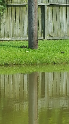 Self-Storage Facility «Move It Self Storage - Atascocita», reviews and photos, 3700 Atascocita Road, Humble, TX 77396, USA