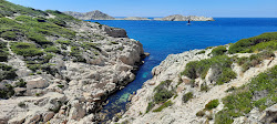 Calanque de la Mounine'in fotoğrafı doğal alan içinde bulunmaktadır