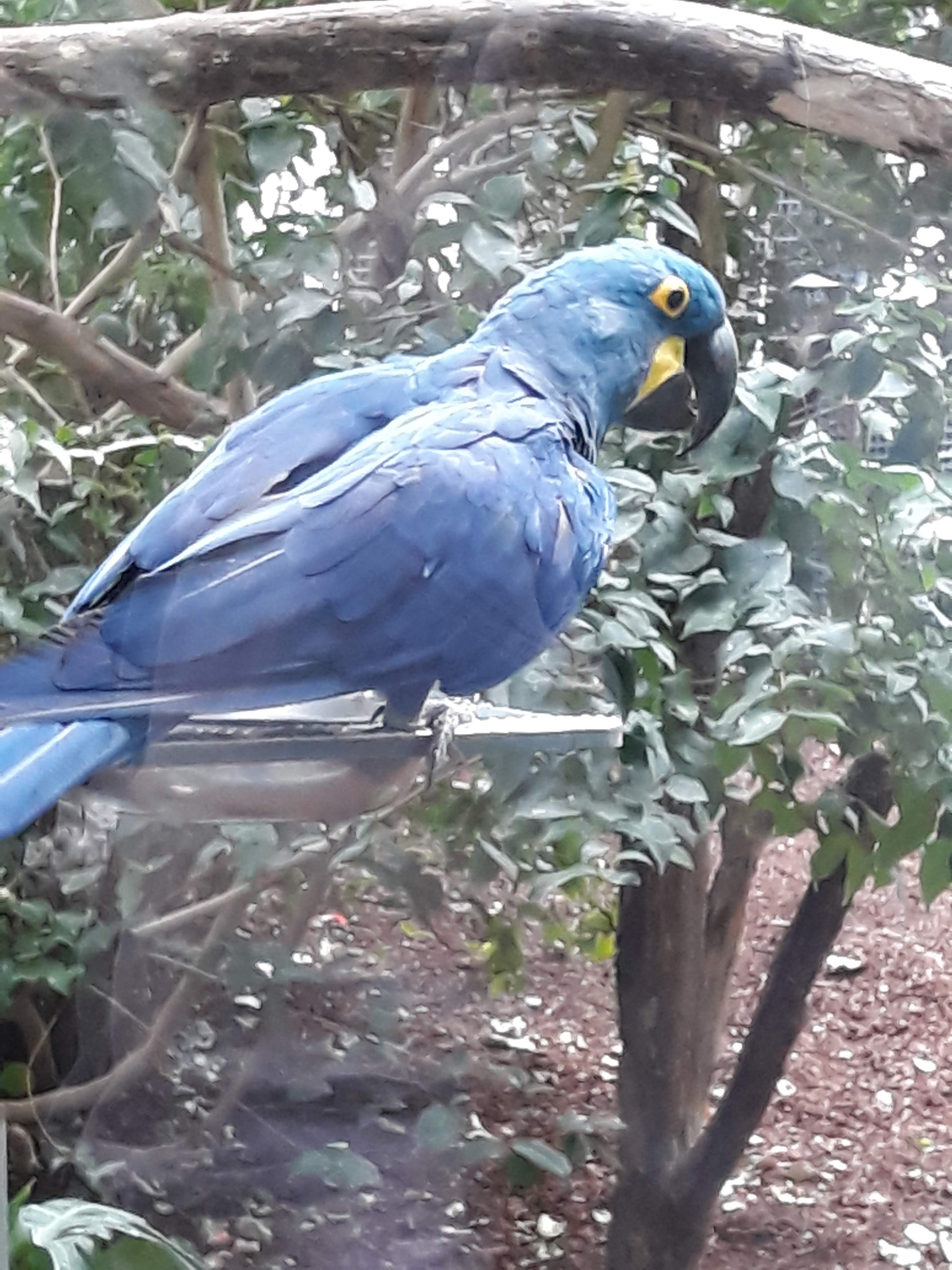 Photo n° 5 de l'avis de Ludo.a fait le 30/08/2021 à 17:15