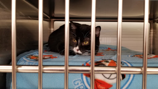 Pet Supply Store «PetSmart», reviews and photos, 5336 Westpointe Plaza Drive, Columbus, OH 43228, USA