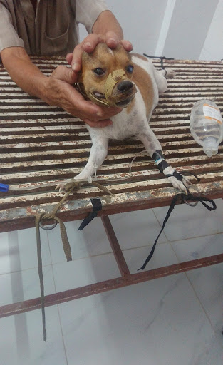 Af1qipmkavatbkc2jwgqqseuhpgy3oec6wgwsl8dezec