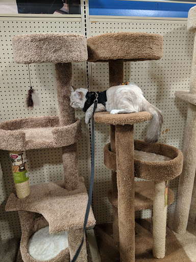 Pet Supply Store «PetSmart», reviews and photos, 1705 Mall of Georgia Blvd, Buford, GA 30519, USA