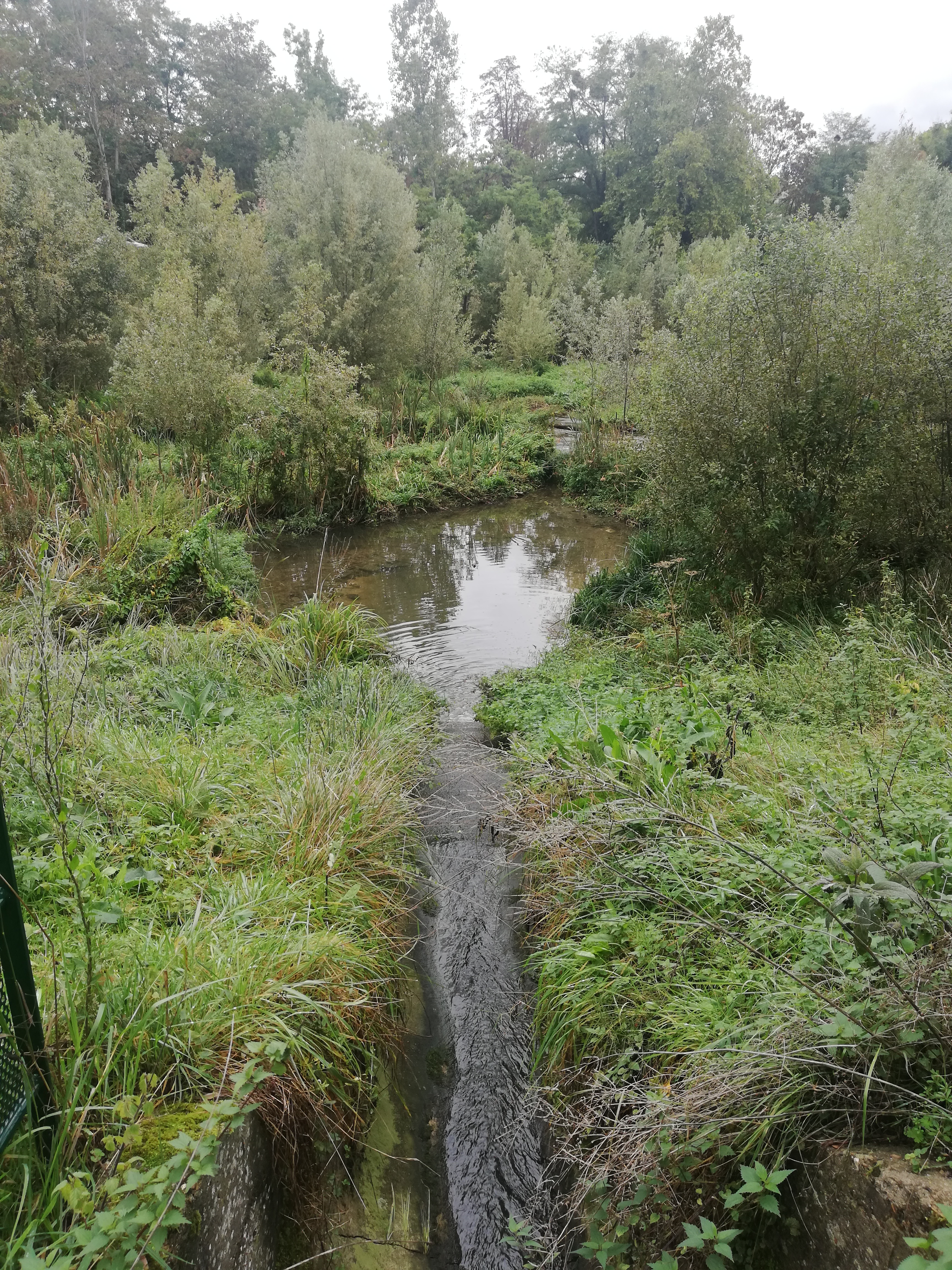 Photo n° 2 de l'avis de Pawel.a fait le 03/10/2020 à 15:00