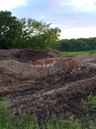 Golf Course «Tournament Club of Iowa», reviews and photos, 1000 Tradition Dr, Polk City, IA 50226, USA