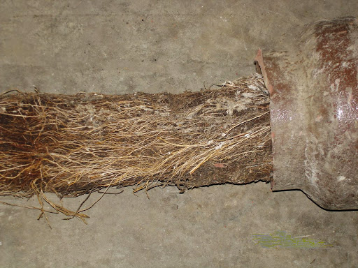 Plumber «Expert Plumbing Service, Inc.», reviews and photos, 1020 Star Ln, New Lenox, IL 60451, USA