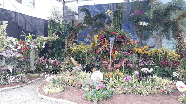 Ecuagenera Guayaquil - Floristería