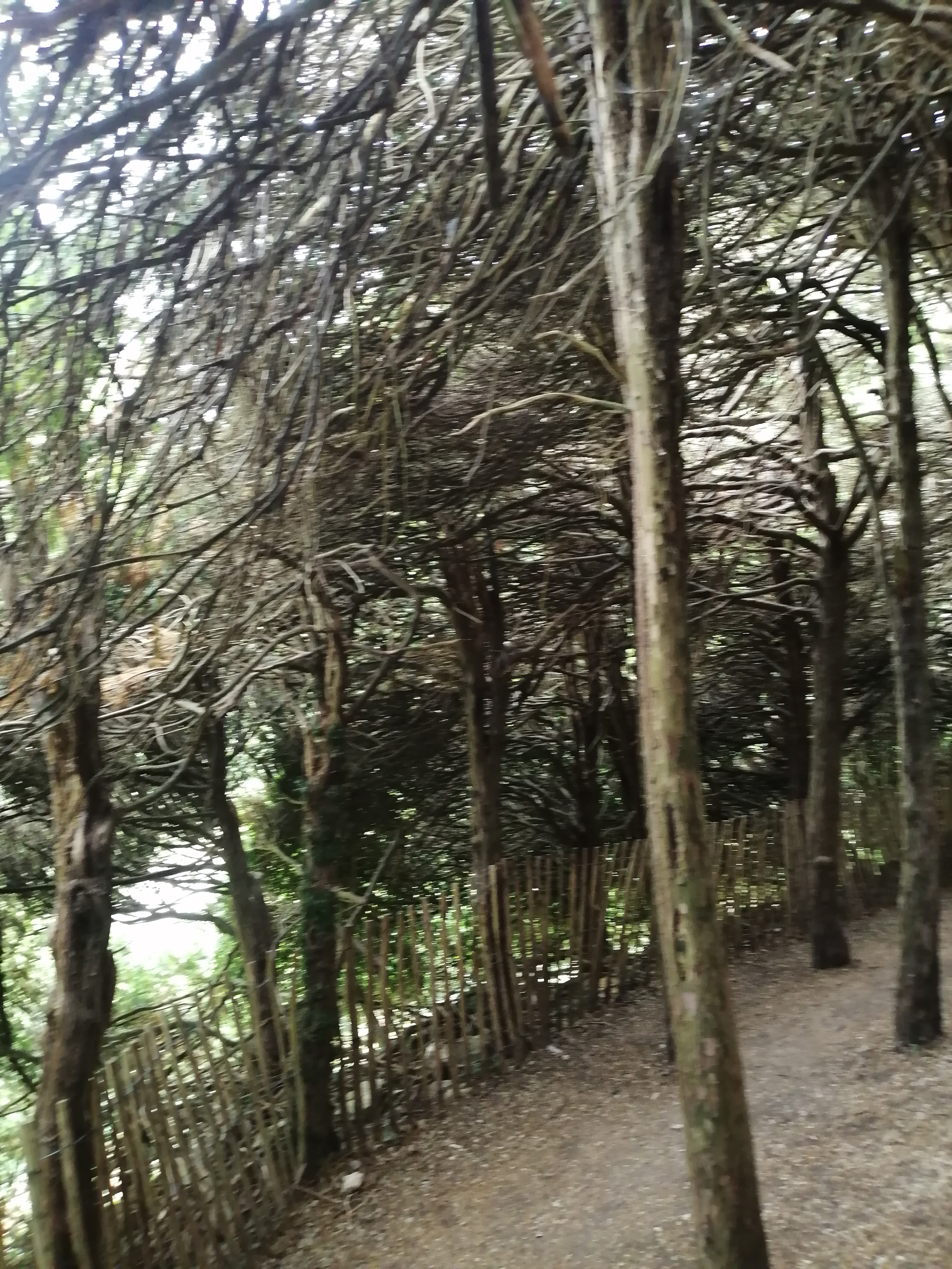 Photo n° 15 de l'avis de Virginie.e fait le 31/07/2022 à 13:13