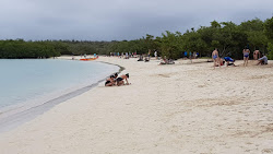Foto di Tortuga Laguna Beach zona selvaggia