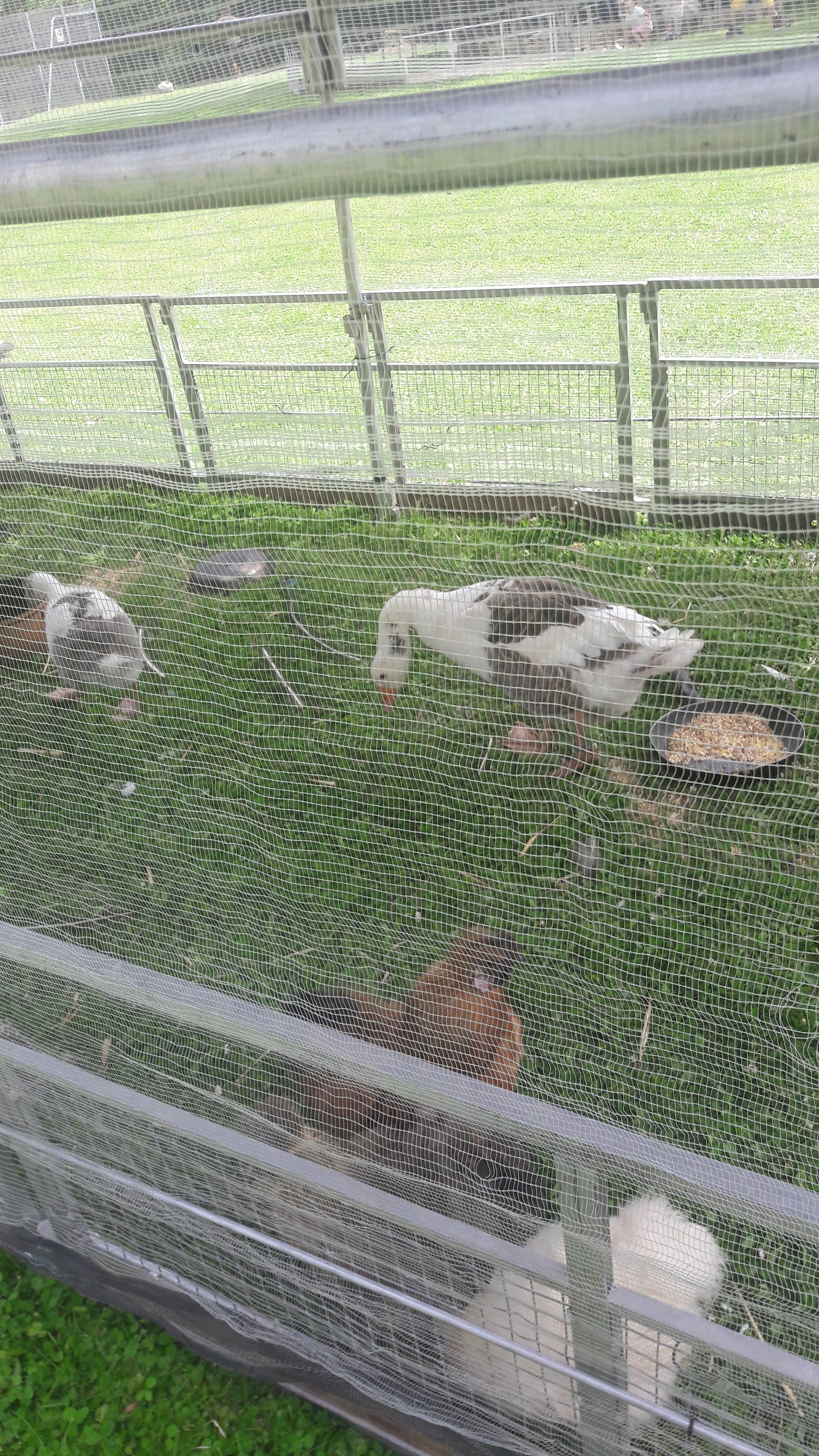 Photo n° 21 de l'avis de monique.O fait le 21/04/2018 à 14:04