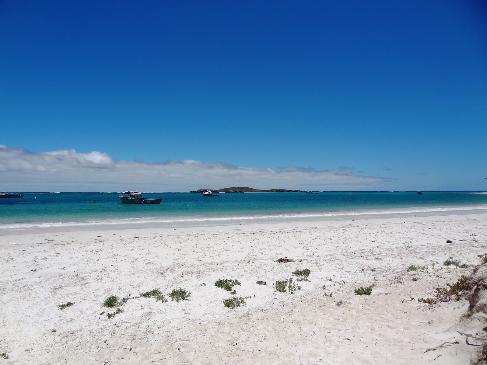 Photo de Hangover Bay Beach zone sauvage