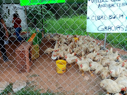 Granja de pollos la Guadalupana - Carlos A. Madrazo, San José, 86850  Jalapa, Tab.