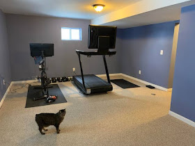 Laura's Cultured Cats Gym