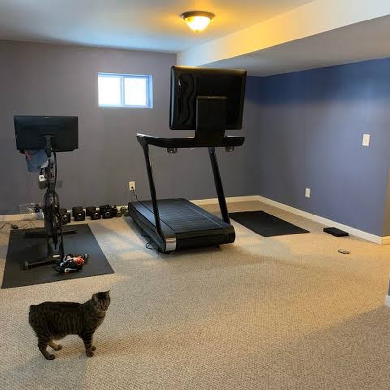 Laura's Cultured Cats Gym