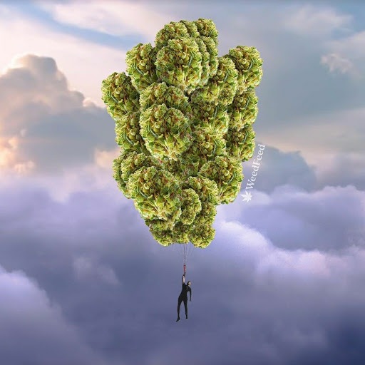 Novelty Store «Hazel Sky Smoke shop Fredericksburg», reviews and photos, 5244 Fredericksburg Rd, San Antonio, TX 78229, USA