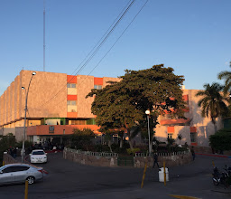 Instituto Mexicano del Seguro Social Culiacán photo