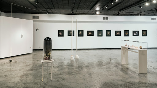 Art Gallery «Women & Their Work», reviews and photos, 1710 Lavaca St, Austin, TX 78701, USA