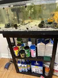 PetSmart - Photo 5 - Car repair in Philadelphia, PA, Philadelphia