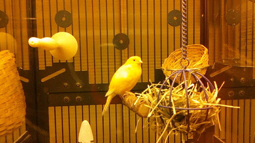 Pet Supply Store «PetSmart», reviews and photos, 1700 Norman Dr #200, Valdosta, GA 31601, USA