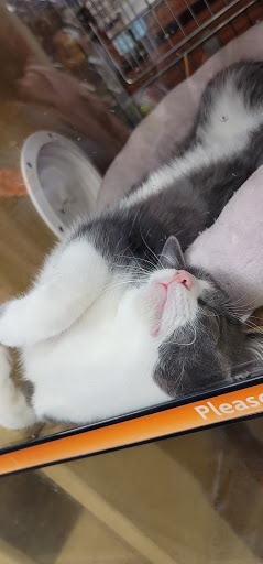 Pet Supply Store «PetSmart», reviews and photos, 745 W Huntington Dr, Monrovia, CA 91016, USA